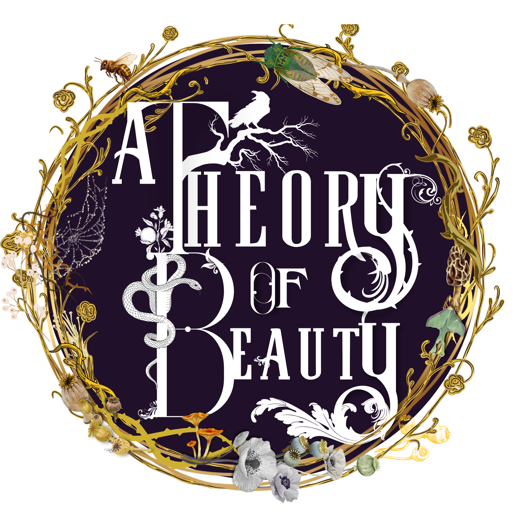 A Theory of Beauty Studio